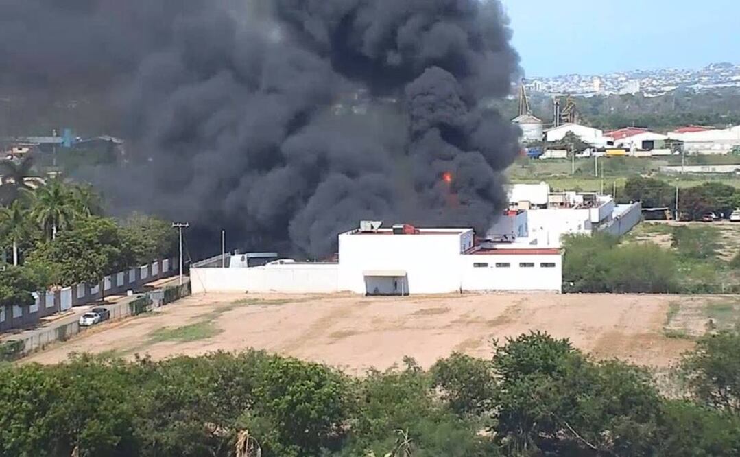 Foto: Cortesía Noticieristas