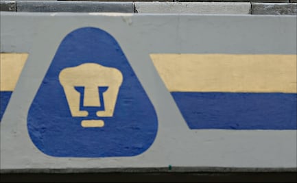 Los Pumas también van por un volante ecuatoriano