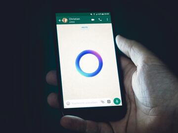 Nunca menciones estos datos a la IA de WhatsApp