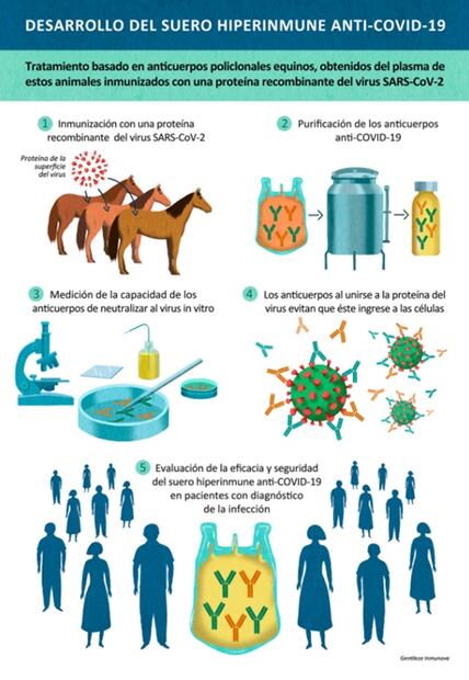 ¿Qué es el suero equino y cuál es su relación con el Covid-19?
