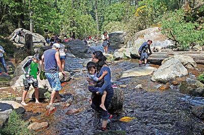 Buscan atraer más turismo a Los Dinamos