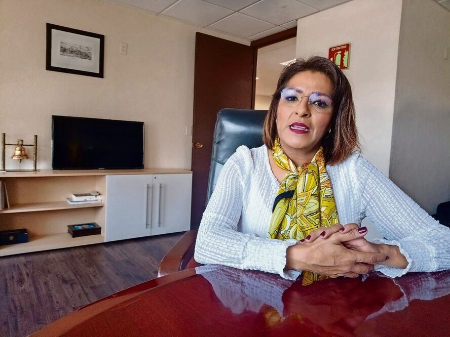 Claudia Castello, integrante del comité organizador del Frente, dijo que la plataforma realizará copias de seguridad y evitará ataques. Foto: Antonio López / EL UNIVERSAL