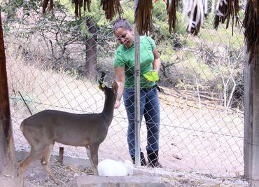 Tiene nuevos habitantes el zoológico de Chilpancingo