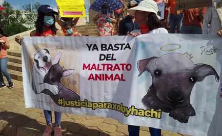 Protestan por envenenamiento de 2 perritos en Mérida