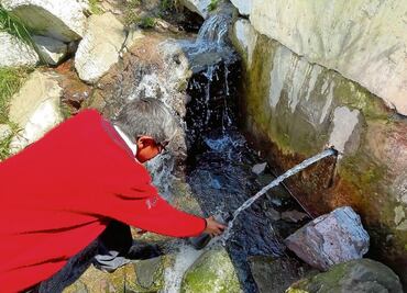 Luchan por preservar el bosque de El Magueyal