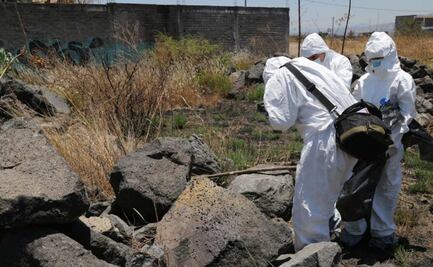 Hallan 10 cuerpos en fosa clandestina en Michoacán