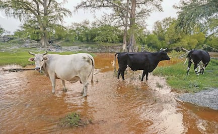 Muro para detener el agua tomará más tiempo