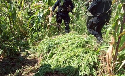 Indagan nexo entre "Cártel de Sinaloa" y mafia de Perú 