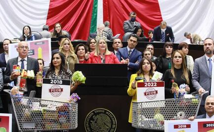 Panistas llevan carrito de mandado al pleno de San Lázaro; denuncian incrementos en canasta básica