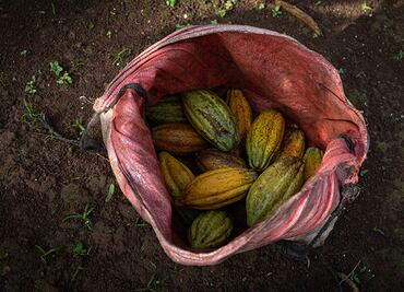 PepsiCo se compromete a promover la seguridad alimentaria para 50 millones de personas en 2030
