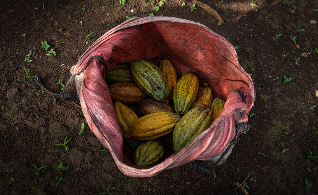 Fotos: cortesía PepsiCo