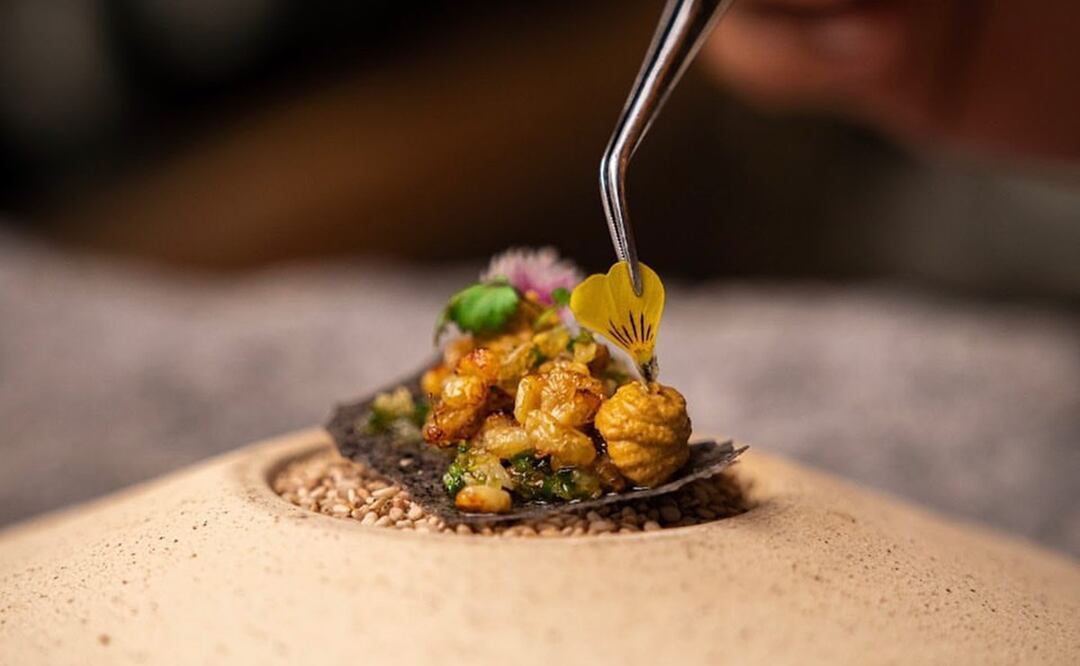 Impressions Moxché by Secrets. Foto cortesía