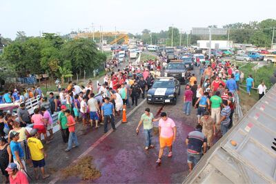 Tabasqueños destazan vacas que iban en tráiler que volcó