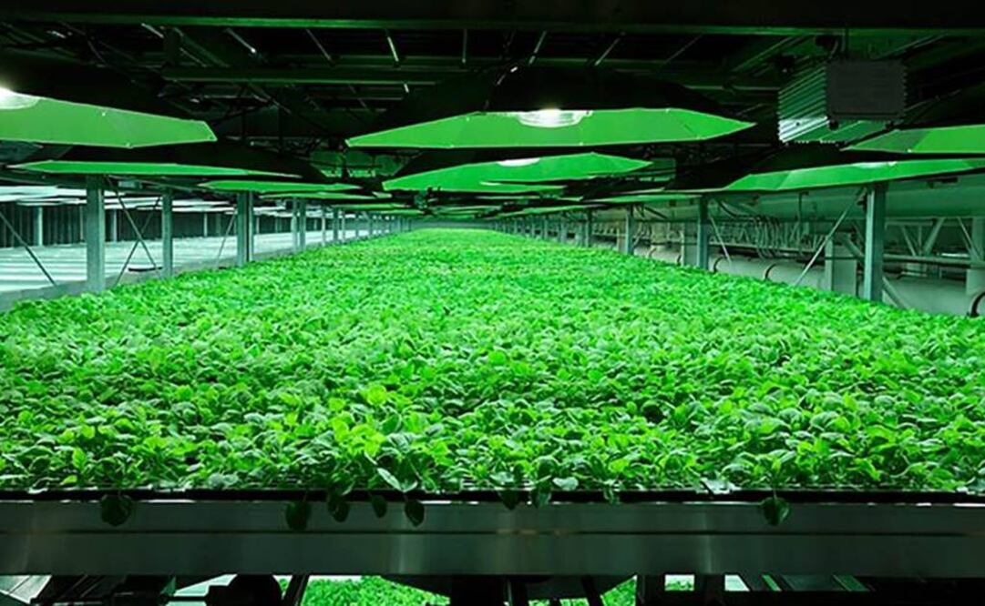 Mujeres constituyen la población más significativa de cuidadoras y requieren especial atención psicológica, ya que presentan carga, ansiedad, tensión y cambios en los estados de ánimo. Foto: Archivo