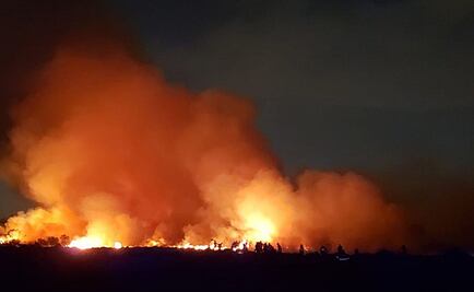 En lo que va del año, incendios en CDMX afectaron mil 949.17 hectáreas