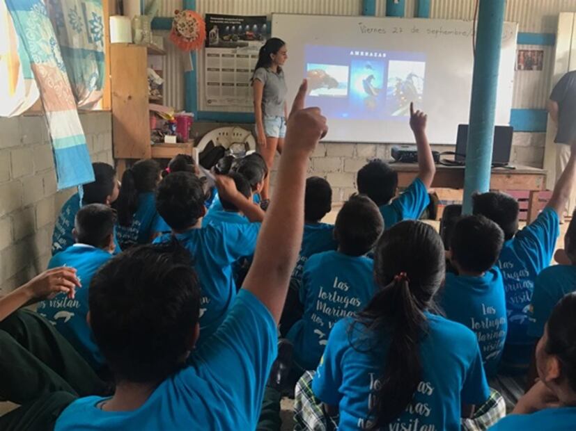 Niños oaxaqueños, la esperanza para salvar a tortugas marinas