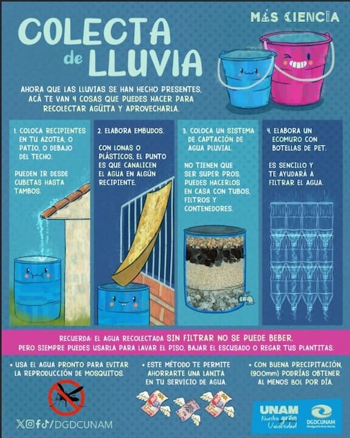 Foto: Captura de pantalla en X