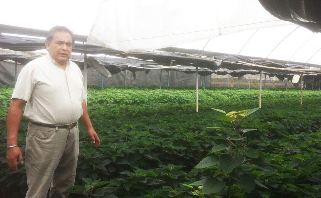 Foto: Héctor Martínez / EL UNIVERSAL