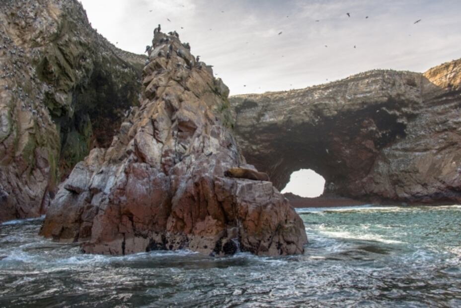 Paracas: qué ver y hacer en esta maravilla natural de Perú