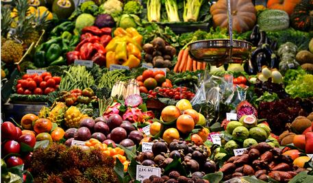 Impulsan iniciativa en San Lázaro para reducir el desperdicio de alimentos