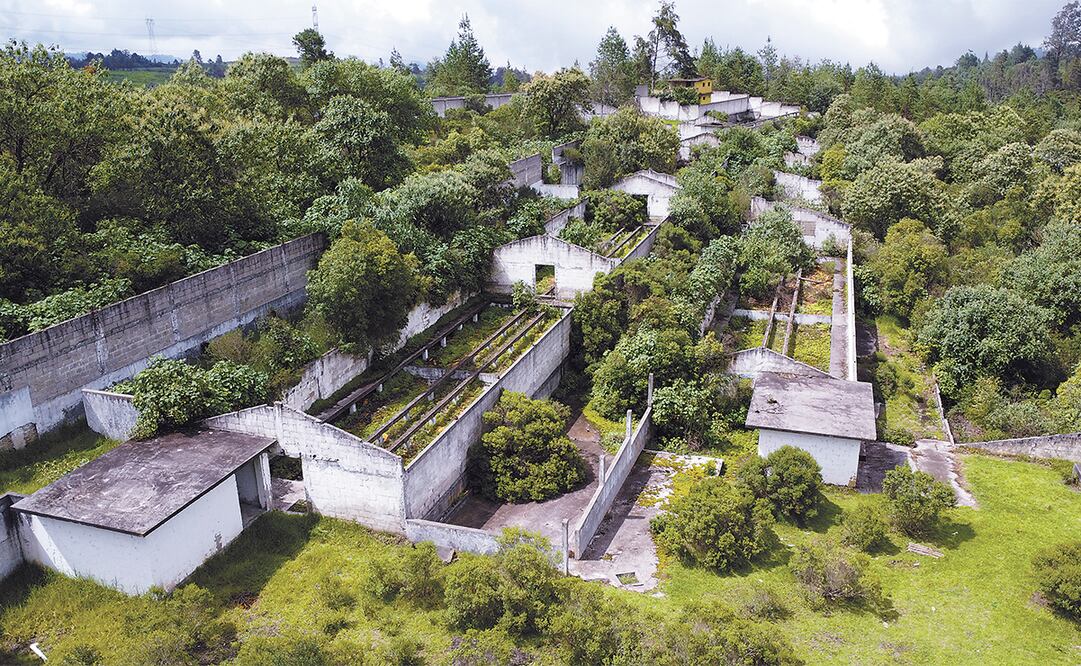 De la finca de los hermanos Zambada sólo quedan estructuras de concreto abandonadas y deterioradas, visitadas por algunos curiosos. Foto: Diego Prado | El Universal