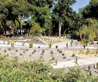 "Estoy contra el proyecto aventurero de destruir Chapultepec": Homero Aridjis