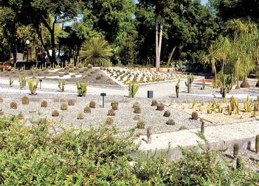 "Estoy contra el proyecto aventurero de destruir Chapultepec": Homero Aridjis