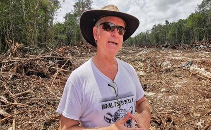 Grupo Cousteau rechaza tramo 5 del Tren Maya: "carece de evaluación de impacto ambiental"