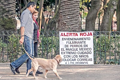 Piden resultados de necropsias de perros envenenados en la Condesa
