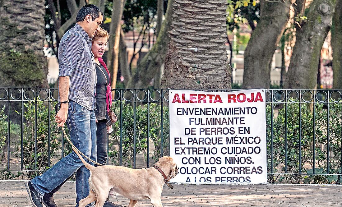 Piden resultados de necropsias de perros envenenados en la Condesa