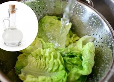 ¿Cómo desinfectar la lechuga de manera sencilla? Evita lavarla solo con agua