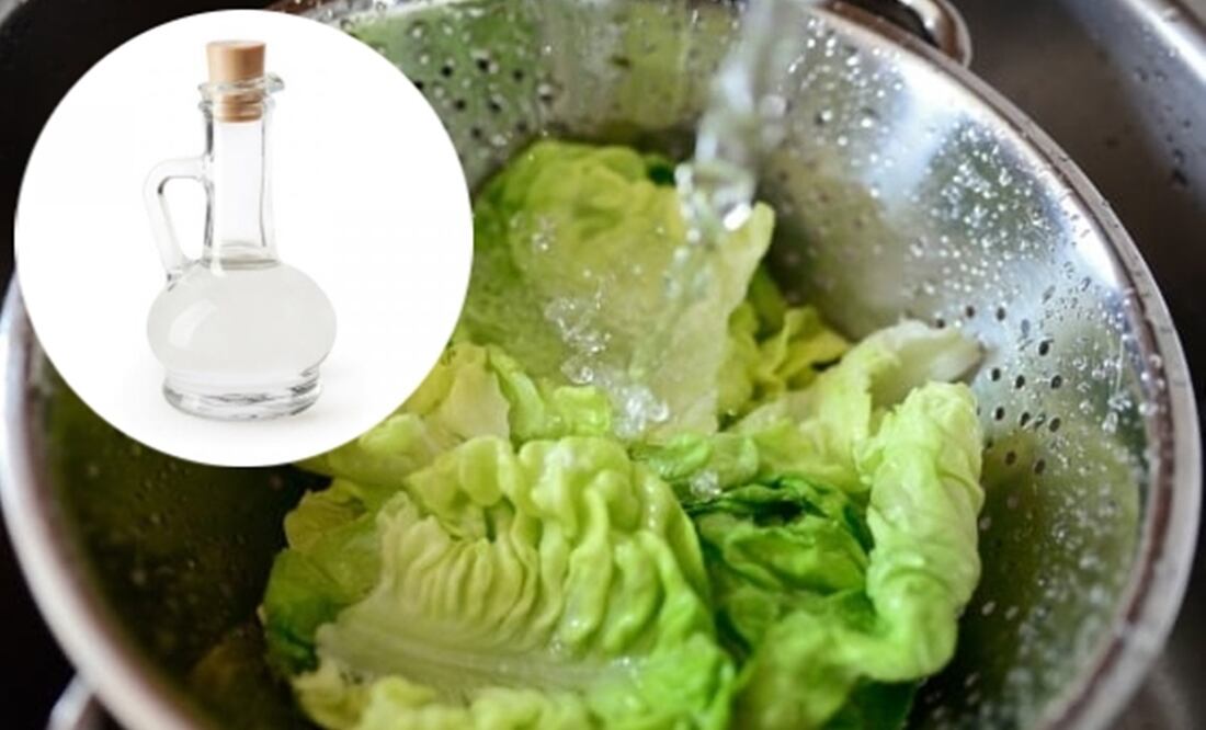 Descubre por qué es bueno desinfectar la lechuga con vinagre. Foto: Pexels