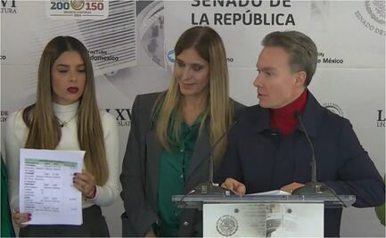 Partido Verde pide a diputados reconsiderar recorte de Semarnat en el PEF 2025; pone en riesgo protección del medio ambiente, argumenta