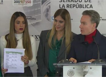 Partido Verde pide a diputados reconsiderar recorte de Semarnat en el PEF 2025; pone en riesgo protección del medio ambiente, argumenta