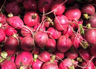 ¿Cómo desinfectar los rábanos?