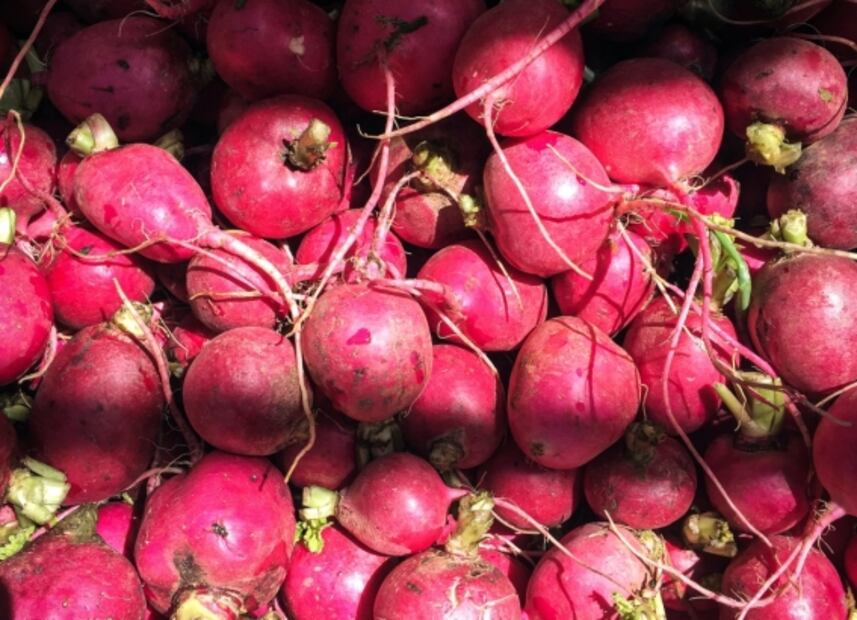 Huertos urbanos: hortalizas que puedes cosechar en casa