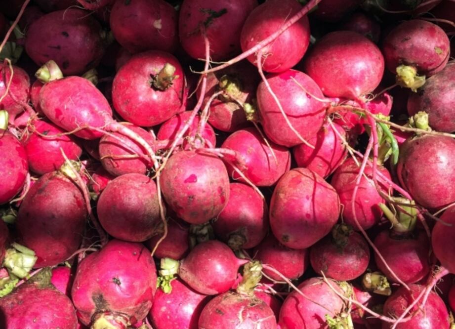 Huertos urbanos: hortalizas que puedes cosechar en casa