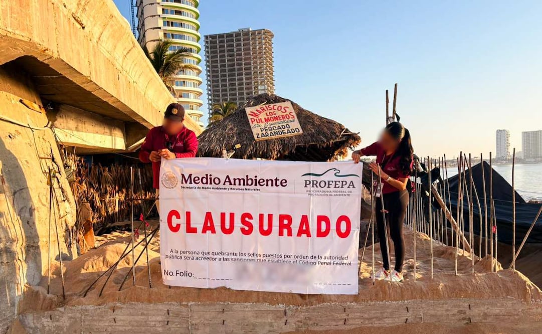 Profepa clausura obras en Yucatán y Sinaloa por incumplimiento de autorizaciones ambientales. Foto: Especial