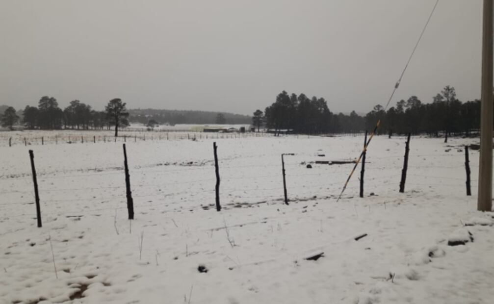 Cierran tramos carreteros por fuertes nevadas en Chihuahua: FOTOS