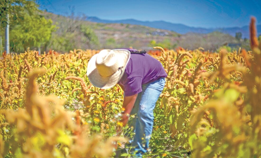 Foto: Archivo/EL UNIVERSAL.