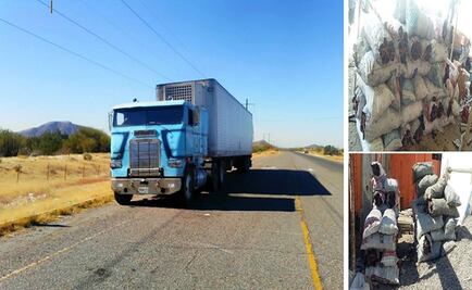 Profepa asegura 25.8 toneladas de carbón en 3 estados