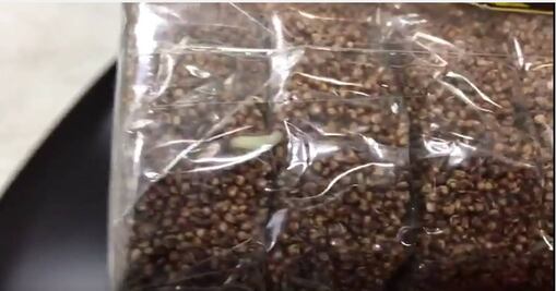 Video. Hallan gusanos en alegrías de amaranto