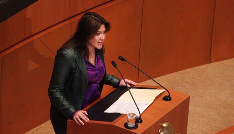 Plantea hija de Gordillo reforma contra bullying y deserción escolar