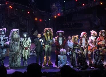 “Cats” finaliza luego de 400 representaciones en teatro