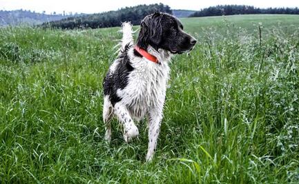 Habrá ambiente cálido y lluvias con actividad eléctrica este martes en la CDMX