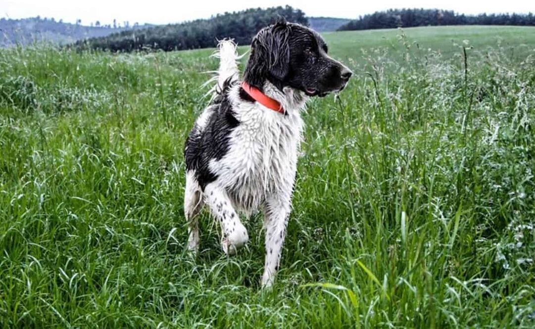 Se espera con cielo mayormente nublado en la Ciudad de México. Foto: Pixabay