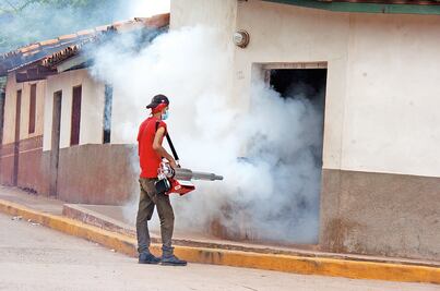 Chikungunya retoma fuerza en 8 estados