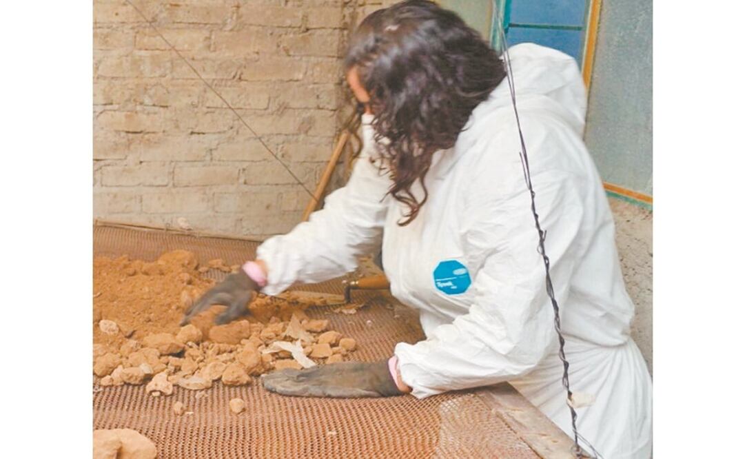 Se han encontrado mil 137 restos óseos en la casa de Andrés “N”. Foto: ESPECIAL