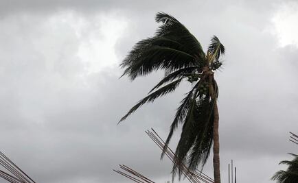 Florida, atenta por llegada de Matthew 