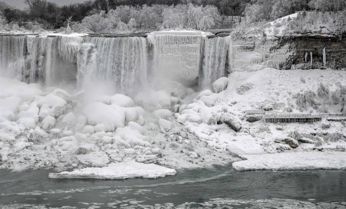 La imagen cautivó a los visitantes (Foto: Reuters)